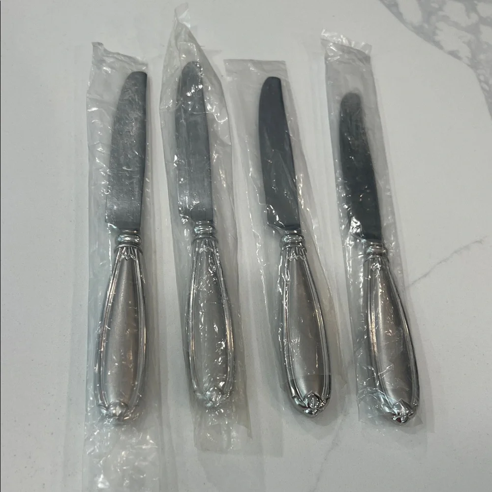 Princess House 4pc Dinner knife.